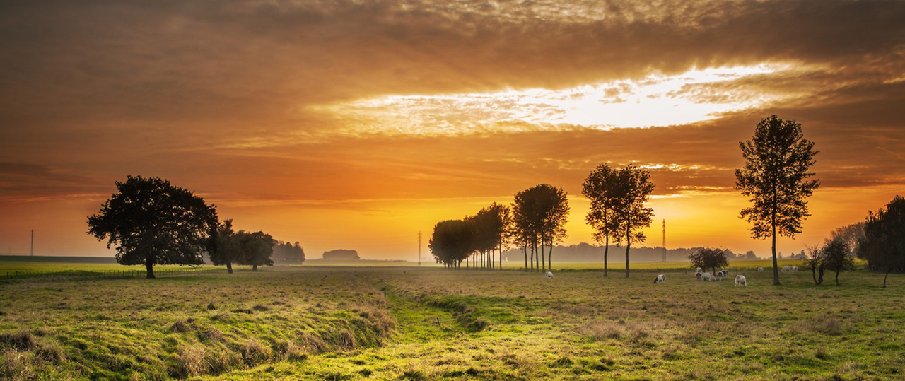 一键部署安装的网站攻击防护
