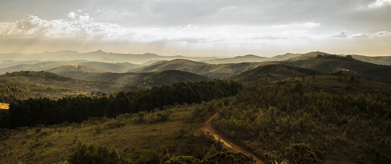 数据恢复工具的ddos测压网站