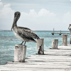 免费ddos在线攻击