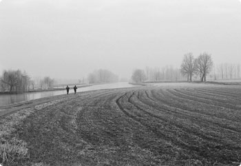 免费ddos在线攻击