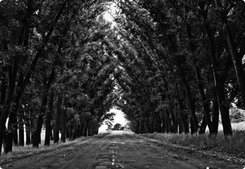 特别懂您的网站攻击防护