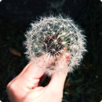 免费ddos在线攻击